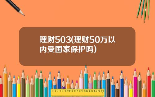 理财503(理财50万以内受国家保护吗)