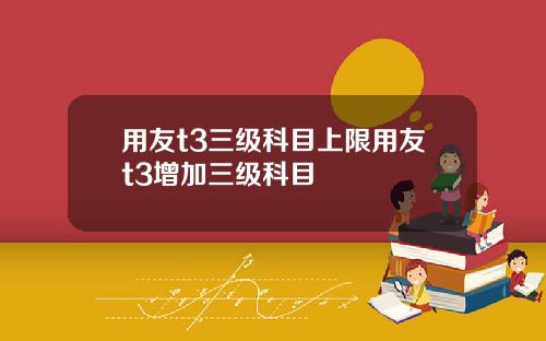 用友t3三级科目上限用友t3增加三级科目