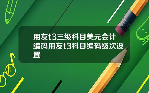 用友t3三级科目美元会计编码用友t3科目编码级次设置