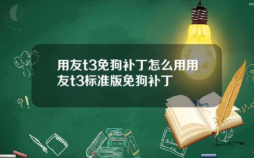 用友t3免狗补丁怎么用用友t3标准版免狗补丁
