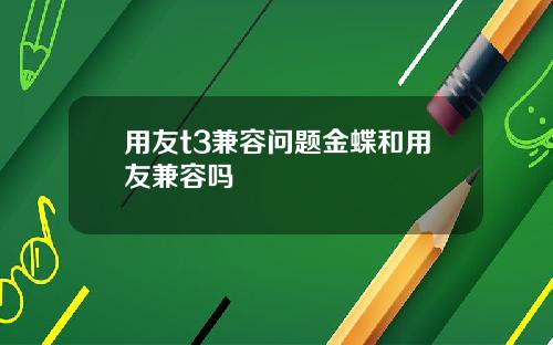 用友t3兼容问题金蝶和用友兼容吗