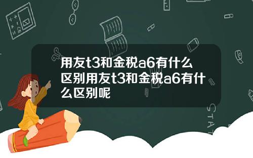 用友t3和金税a6有什么区别用友t3和金税a6有什么区别呢