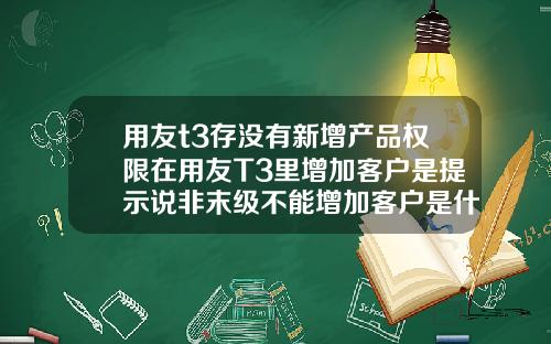 用友t3存没有新增产品权限在用友T3里增加客户是提示说非末级不能增加客户是什么原因.