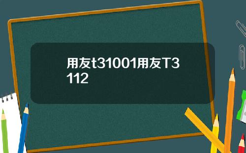 用友t31001用友T3112