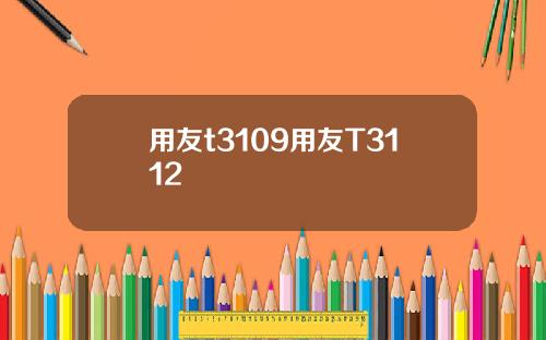 用友t3109用友T3112