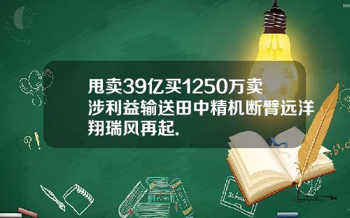 甩卖39亿买1250万卖涉利益输送田中精机断臂远洋翔瑞风再起.