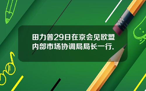 田力普29日在京会见欧盟内部市场协调局局长一行.