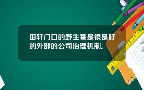 田轩门口的野生番是很是好的外部的公司治理机制.
