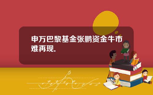 申万巴黎基金张鹏资金牛市难再现.