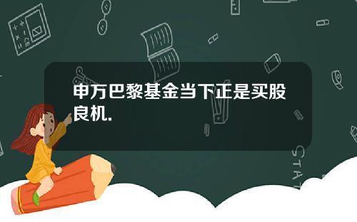 申万巴黎基金当下正是买股良机.