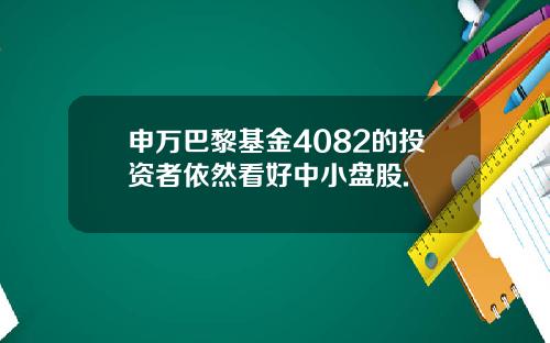 申万巴黎基金4082的投资者依然看好中小盘股.