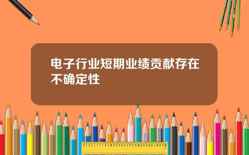 电子行业短期业绩贡献存在不确定性