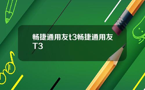 畅捷通用友t3畅捷通用友T3