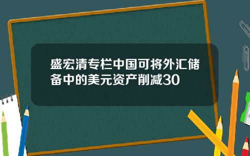盛宏清专栏中国可将外汇储备中的美元资产削减30