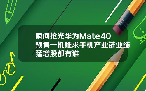 瞬间抢光华为Mate40预售一机难求手机产业链业绩猛增股都有谁