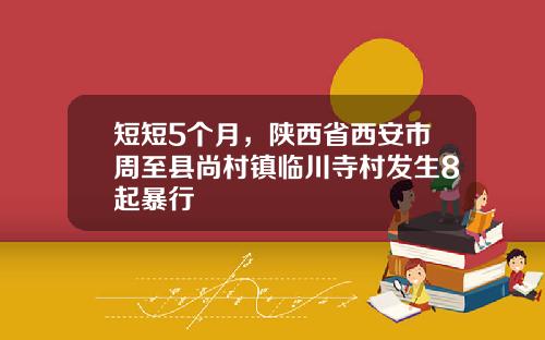 短短5个月，陕西省西安市周至县尚村镇临川寺村发生8起暴行