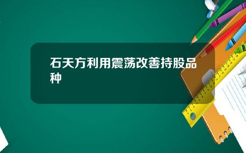石天方利用震荡改善持股品种