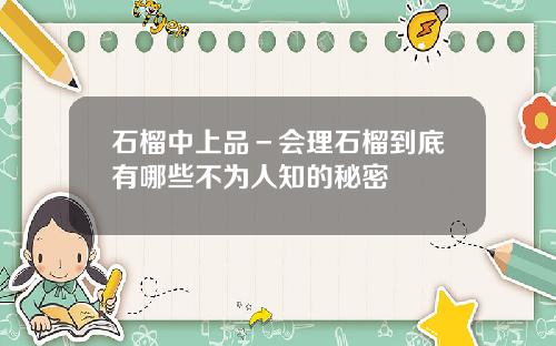 石榴中上品－会理石榴到底有哪些不为人知的秘密