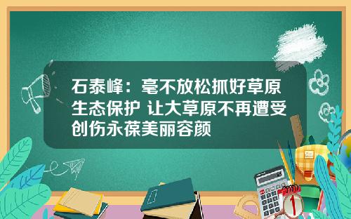 石泰峰：毫不放松抓好草原生态保护 让大草原不再遭受创伤永葆美丽容颜