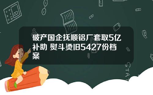 破产国企抚顺铝厂套取5亿补助 熨斗烫旧5427份档案