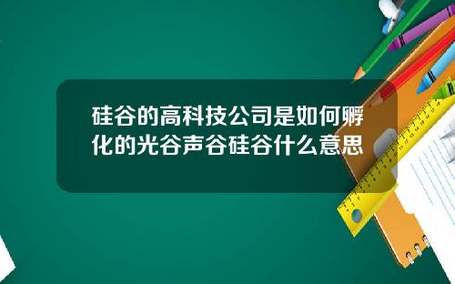 硅谷的高科技公司是如何孵化的光谷声谷硅谷什么意思