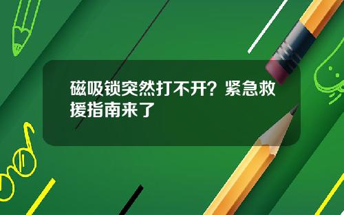 磁吸锁突然打不开？紧急救援指南来了