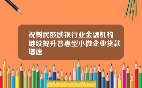 祝树民鼓励银行业金融机构继续提升普惠型小微企业贷款增速