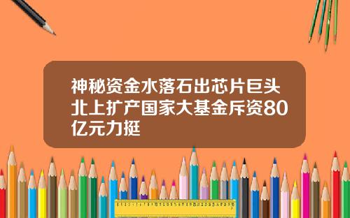 神秘资金水落石出芯片巨头北上扩产国家大基金斥资80亿元力挺
