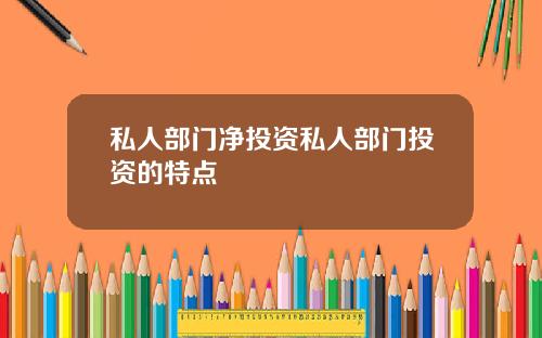 私人部门净投资私人部门投资的特点