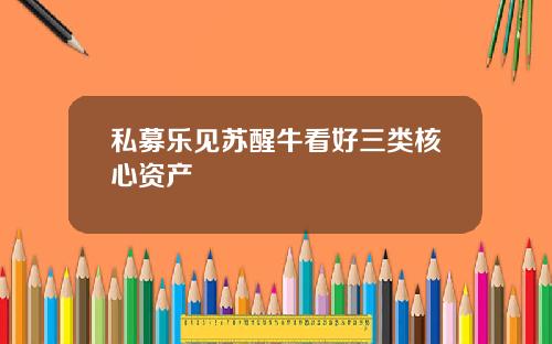 私募乐见苏醒牛看好三类核心资产