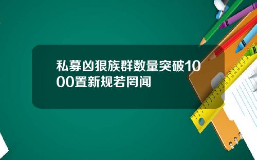 私募凶狠族群数量突破1000置新规若罔闻