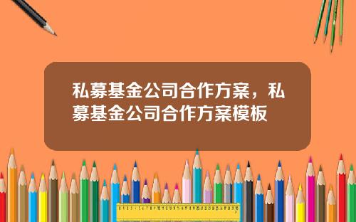 私募基金公司合作方案，私募基金公司合作方案模板