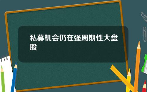 私募机会仍在强周期性大盘股