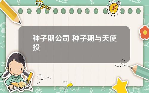 种子期公司 种子期与天使投