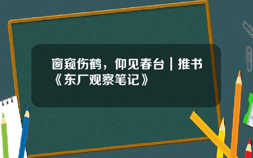 窗窥伤鹤，仰见春台｜推书《东厂观察笔记》