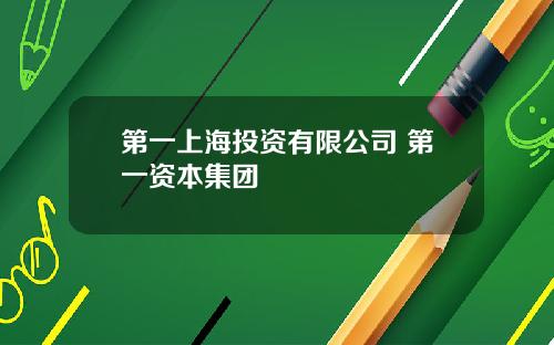 第一上海投资有限公司 第一资本集团