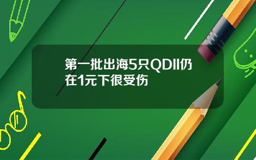 第一批出海5只QDII仍在1元下很受伤