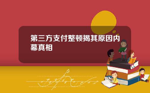 第三方支付整顿揭其原因内幕真相