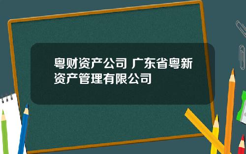 粤财资产公司 广东省粤新资产管理有限公司