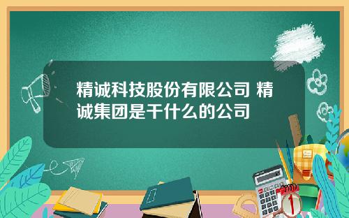 精诚科技股份有限公司 精诚集团是干什么的公司