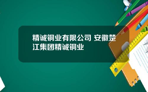 精诚铜业有限公司 安徽楚江集团精诚铜业