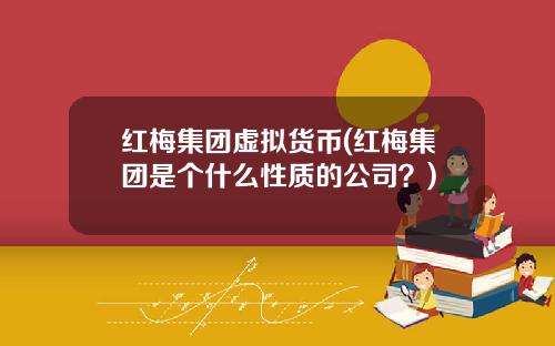 红梅集团虚拟货币(红梅集团是个什么性质的公司？)