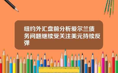 纽约外汇盘前分析爱尔兰债务问题继续受关注美元持续反弹