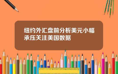 纽约外汇盘前分析美元小幅承压关注美国数据