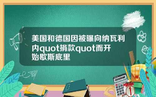 美国和德国因被曝向纳瓦利内quot捐款quot而开始歇斯底里
