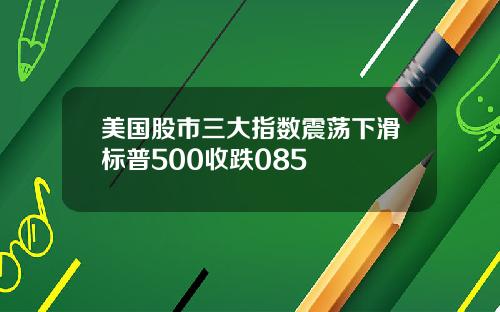 美国股市三大指数震荡下滑标普500收跌085