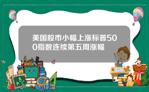 美国股市小幅上涨标普500指数连续第五周涨幅