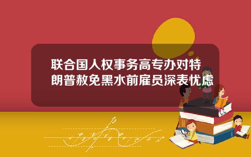 联合国人权事务高专办对特朗普赦免黑水前雇员深表忧虑