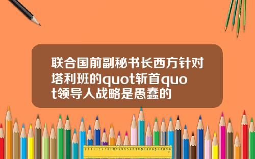联合国前副秘书长西方针对塔利班的quot斩首quot领导人战略是愚蠢的