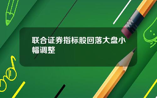联合证券指标股回落大盘小幅调整